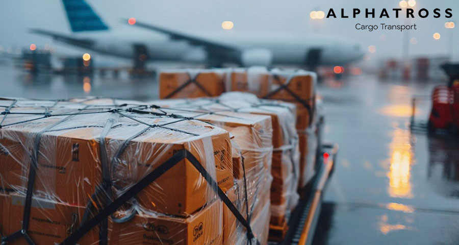 Sea Freight: Capacity and Cost Efficiency Sea Freight: Capacity and Cost Efficiency